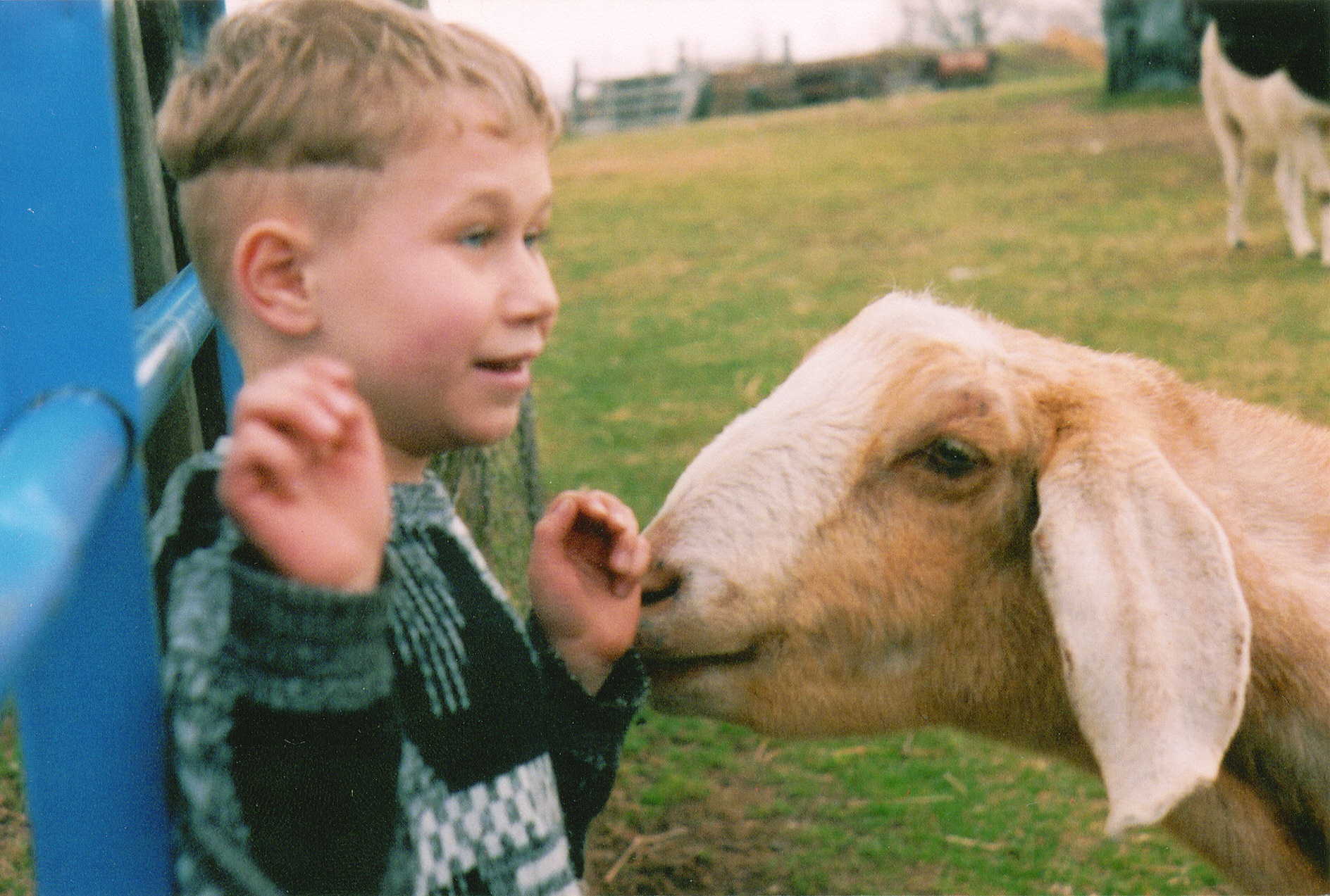 liam-with-goat.jpg